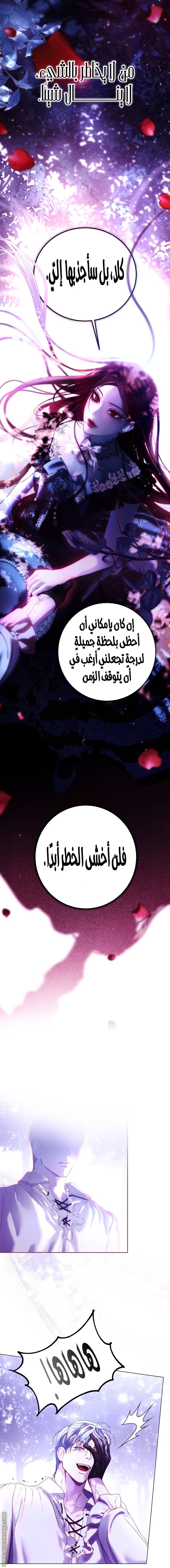 الصفحة 13