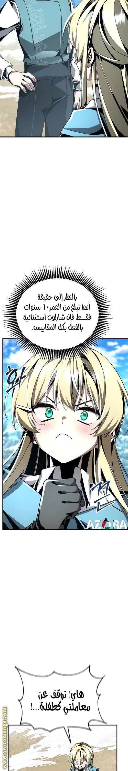 الصفحة 17