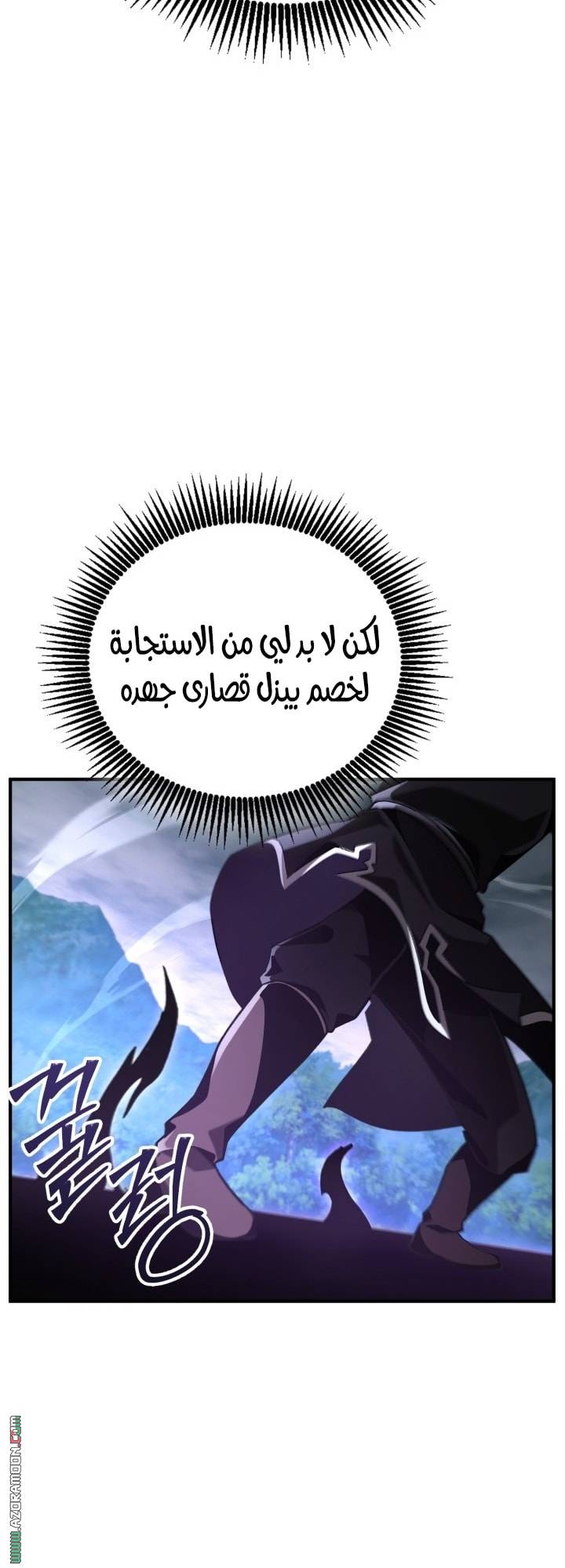 الصفحة 29