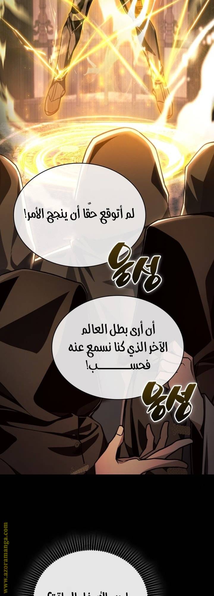 الصفحة 31