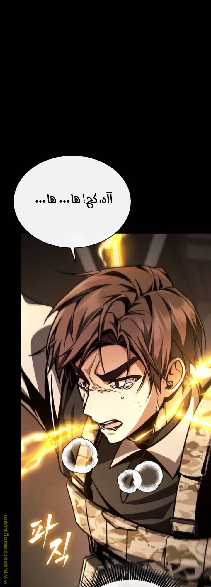 الصفحة 41