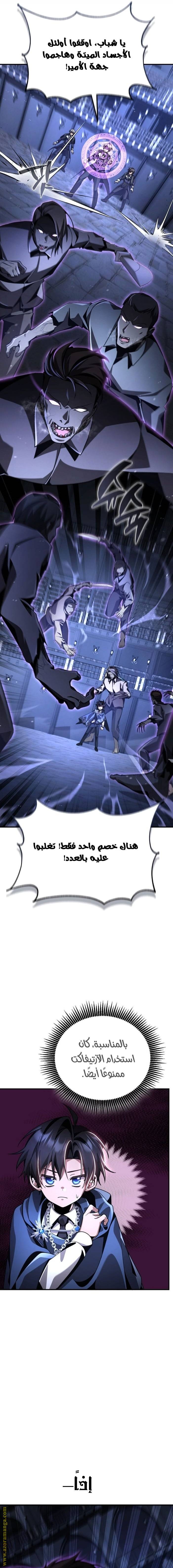 الصفحة 13