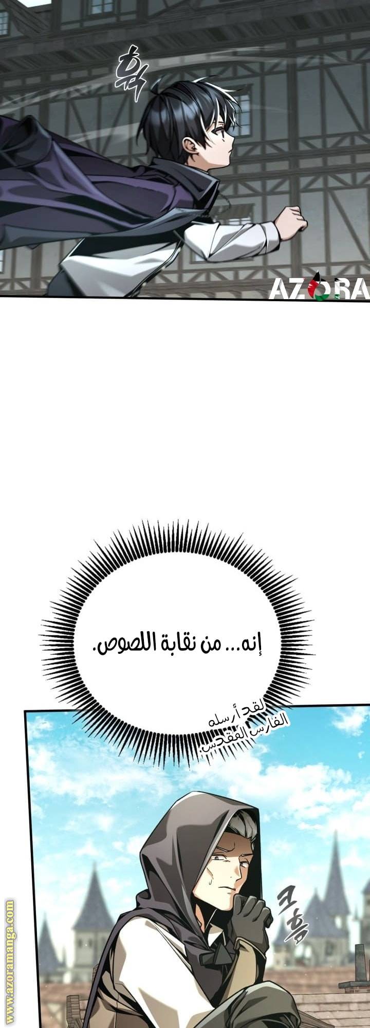 الصفحة 13