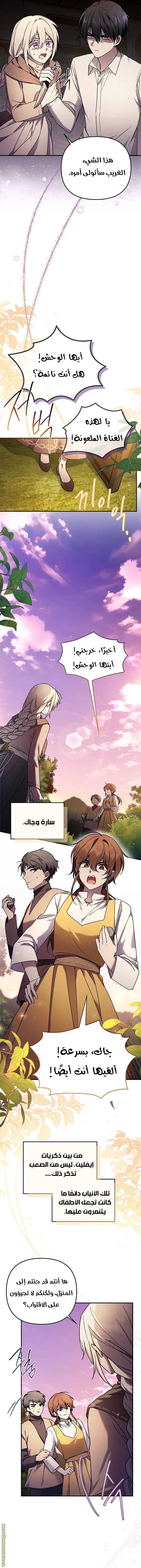 الصفحة 13