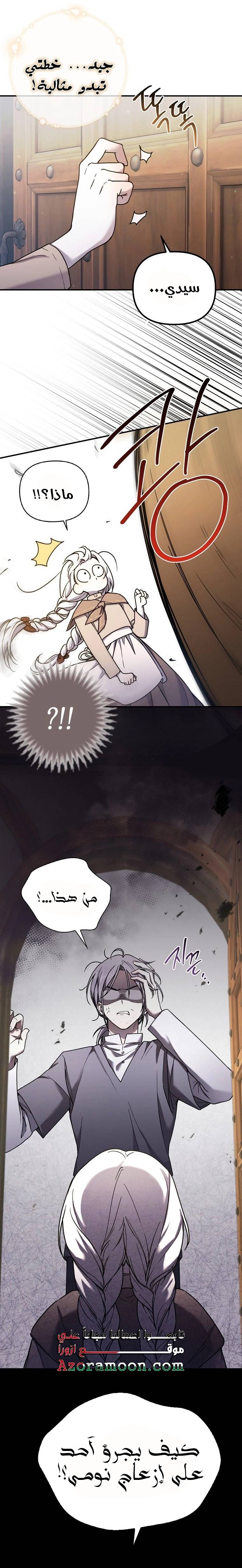 الصفحة 21