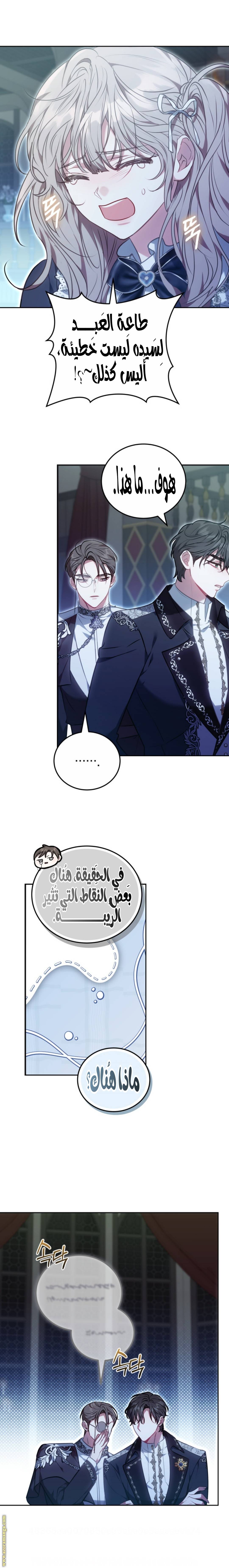 الصفحة 17