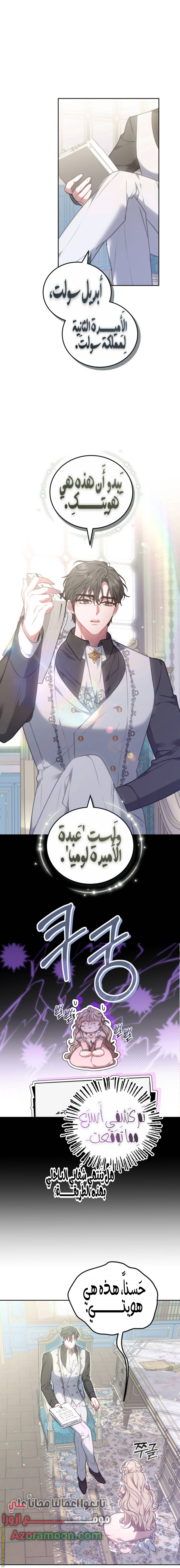 الصفحة 25
