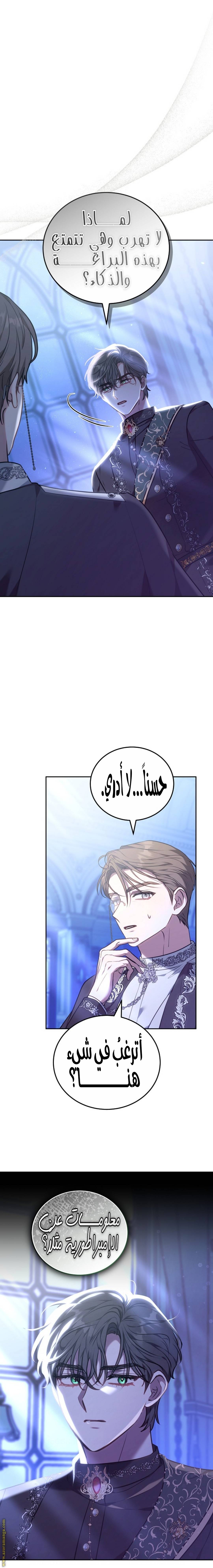 الصفحة 25