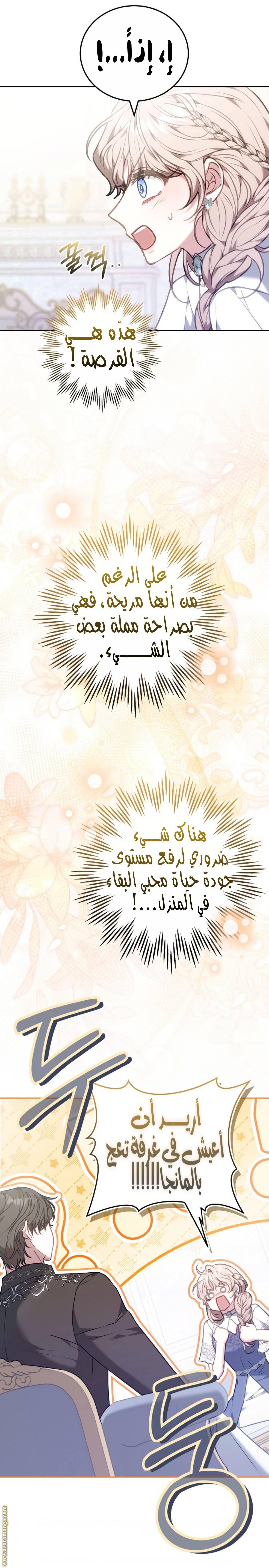 الصفحة 28
