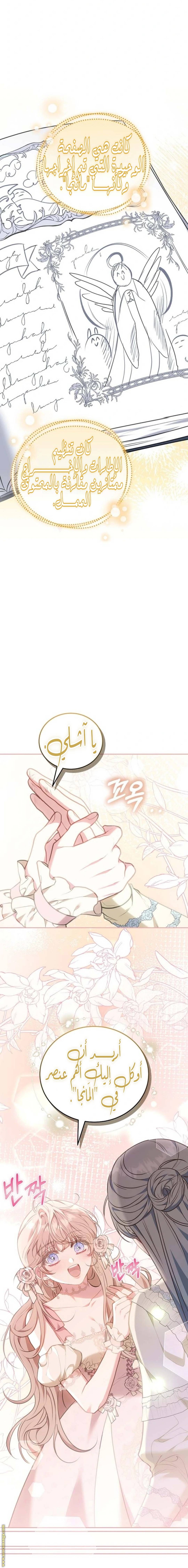الصفحة 19