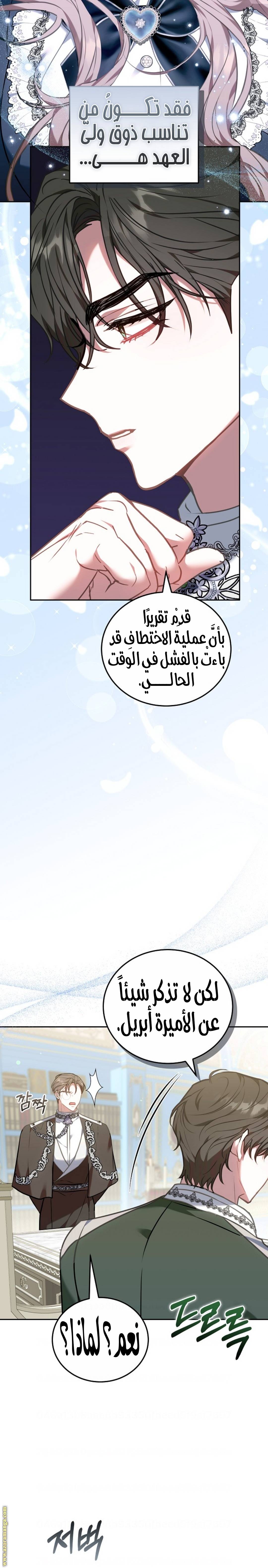 الصفحة 25