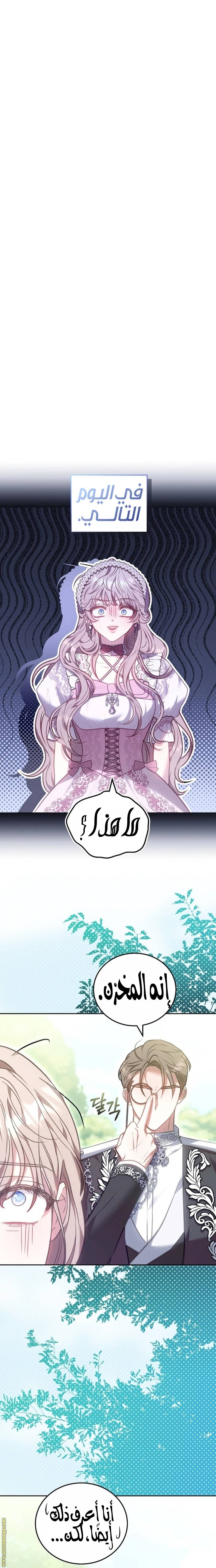 الصفحة 13