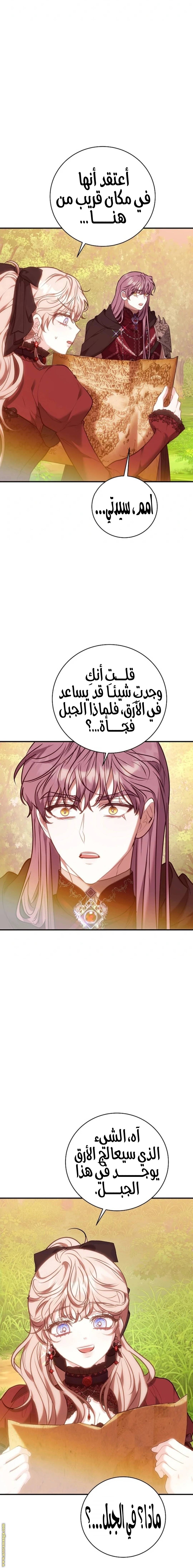 الصفحة 13