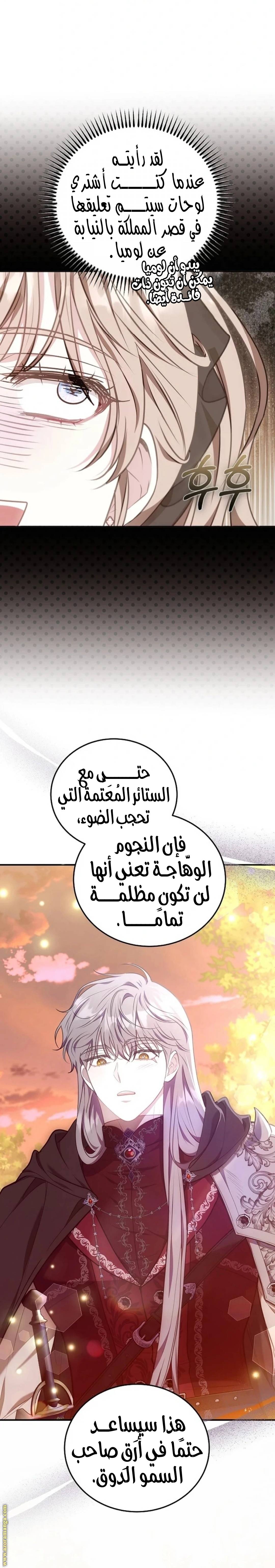 الصفحة 16