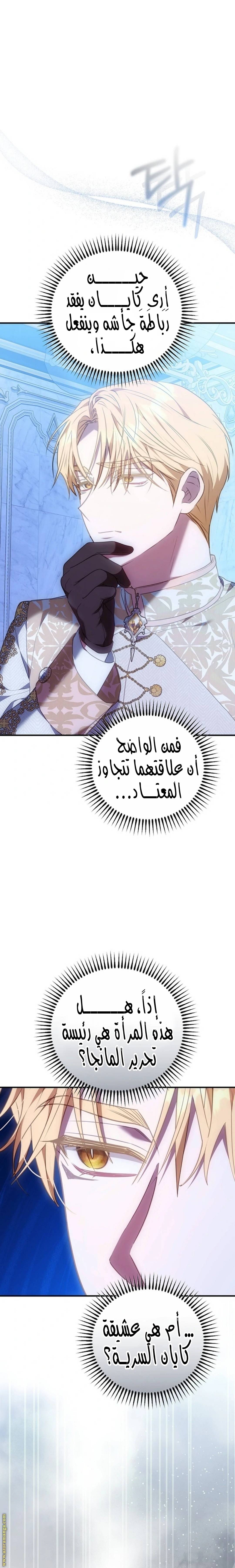 الصفحة 21