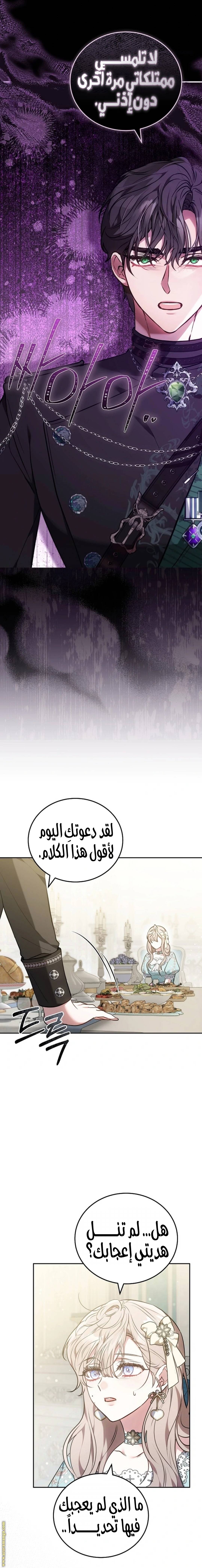 الصفحة 17