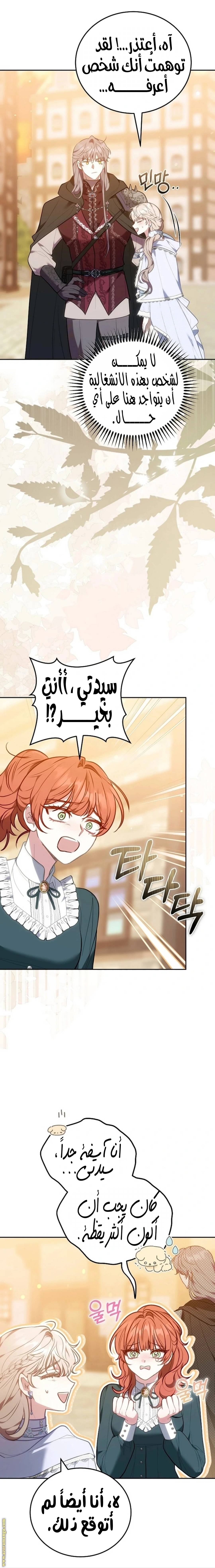 الصفحة 19