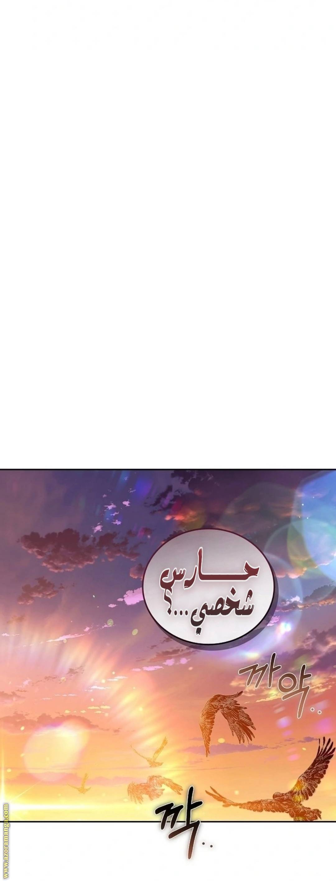 الصفحة 26