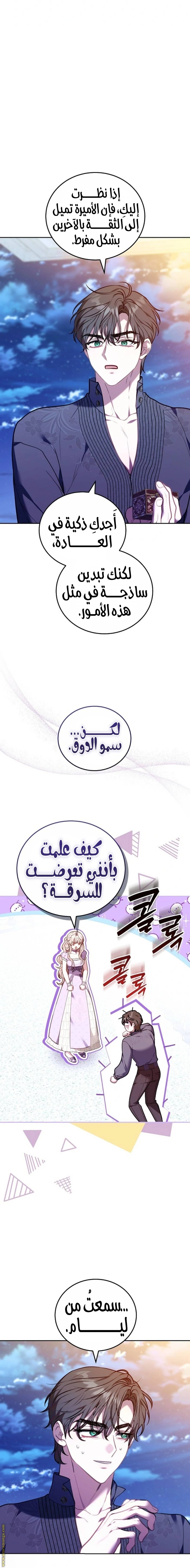 الصفحة 17