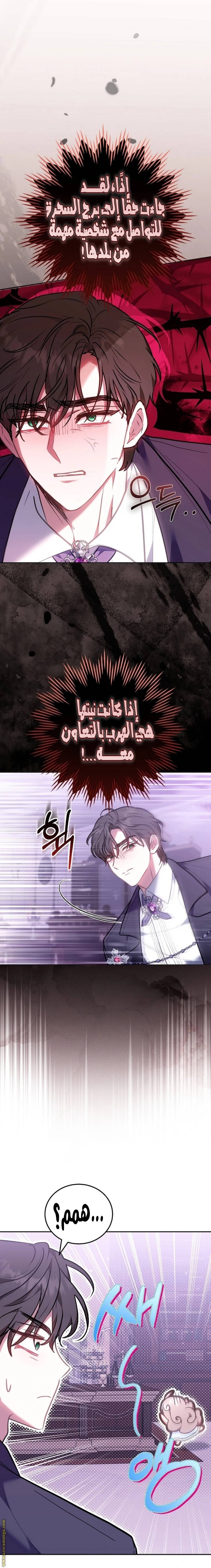 الصفحة 19