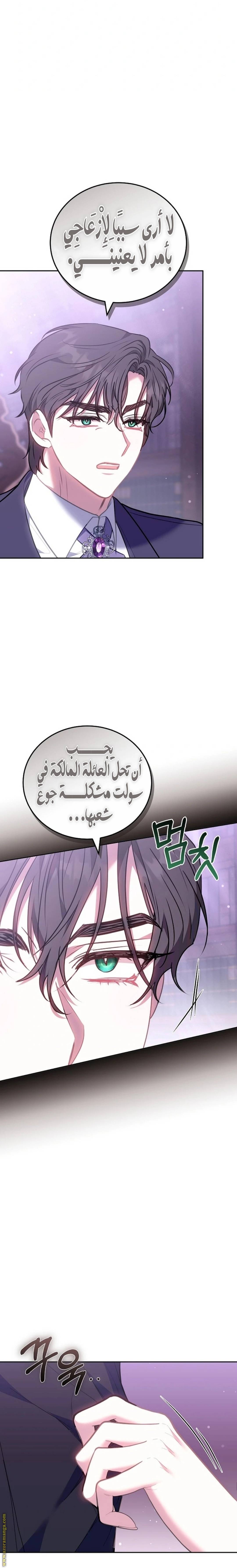 الصفحة 25