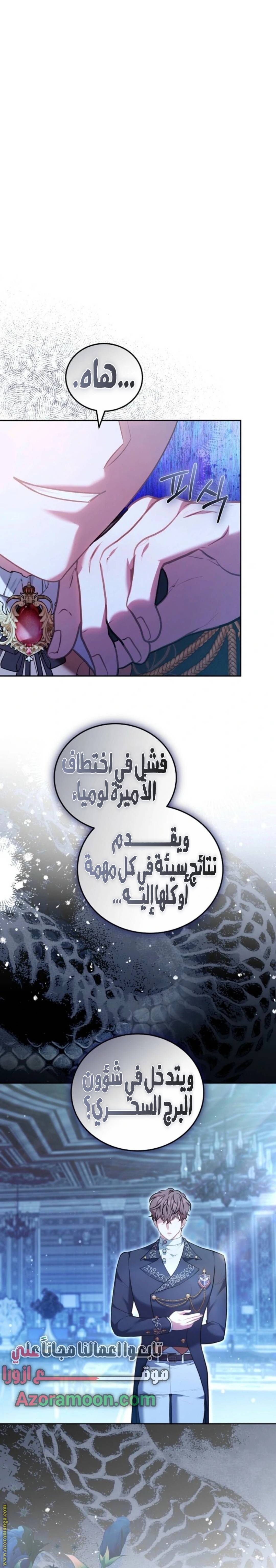 الصفحة 25