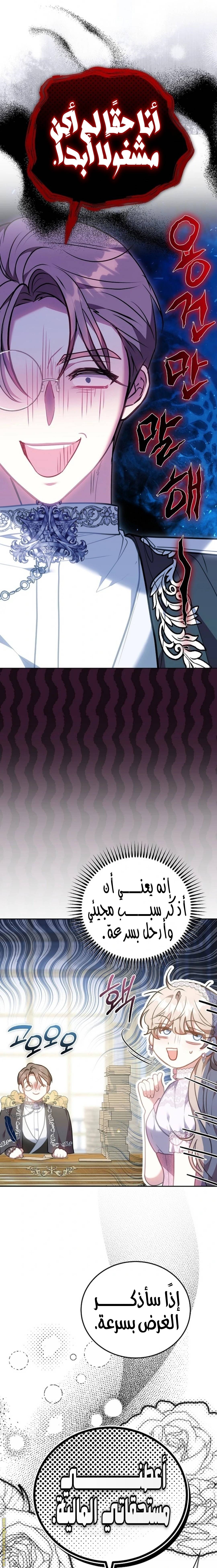الصفحة 17