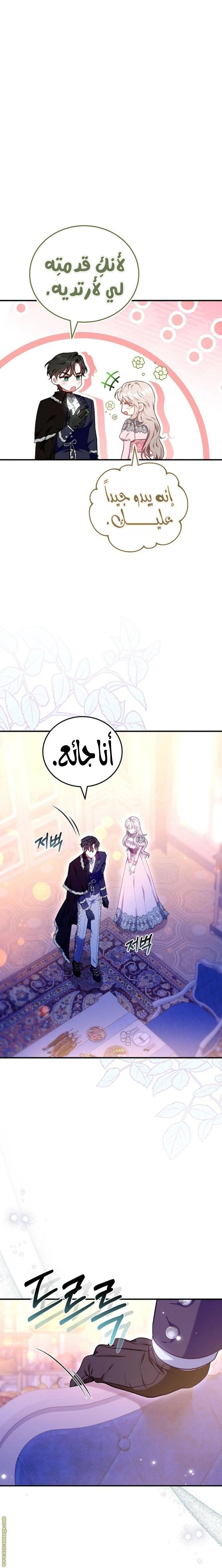 الصفحة 19