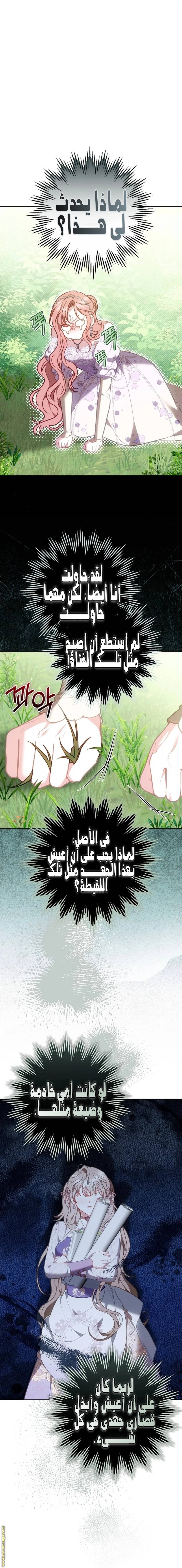 الصفحة 21