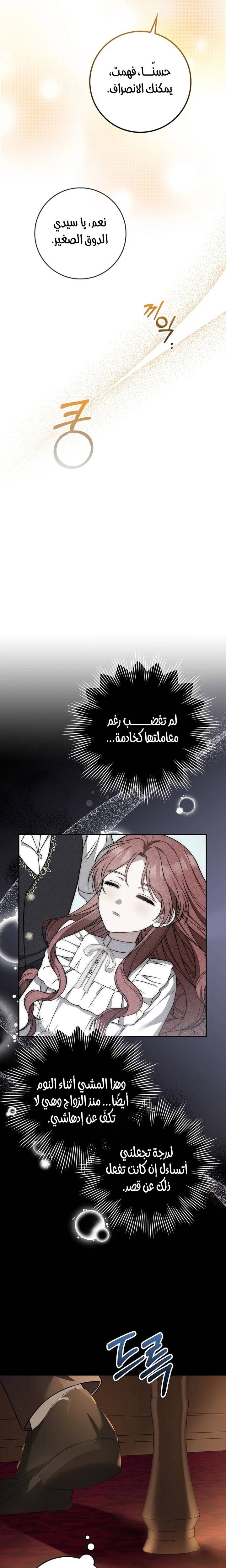 الصفحة 11