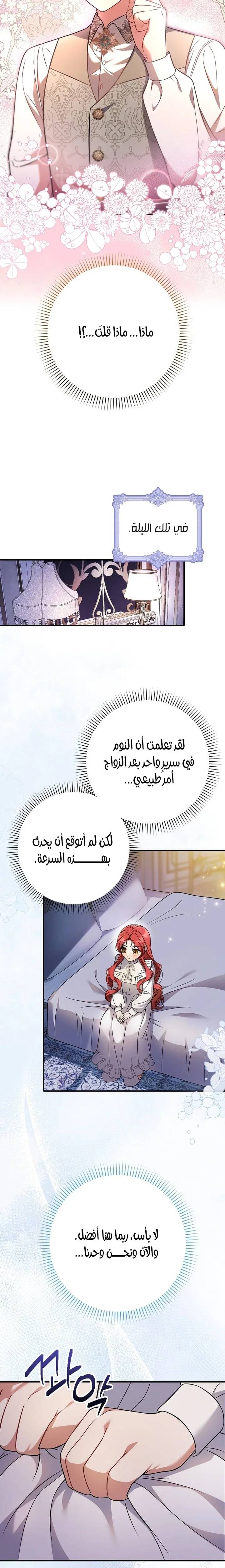 الصفحة 17