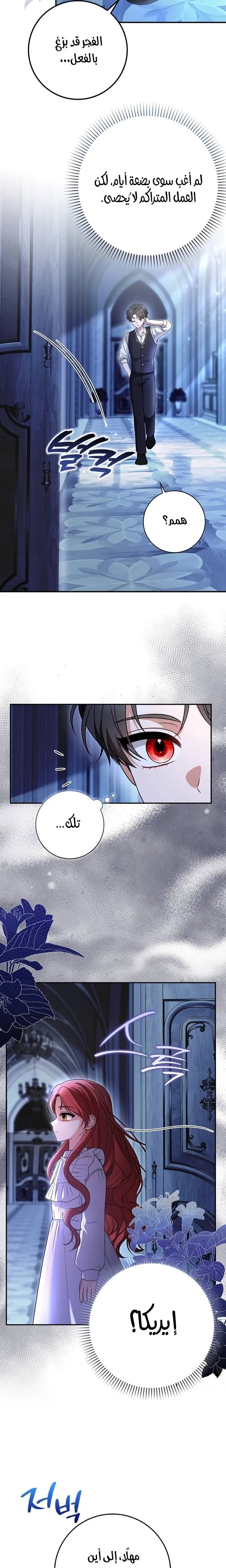 الصفحة 11