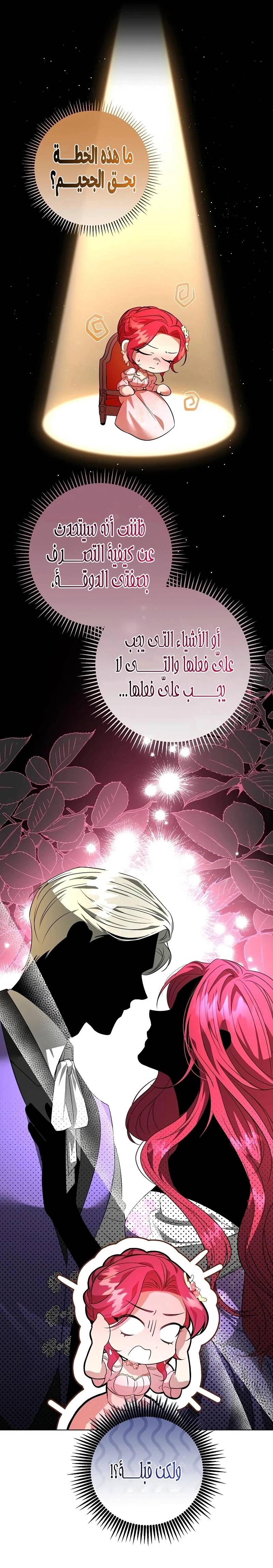 الصفحة 24