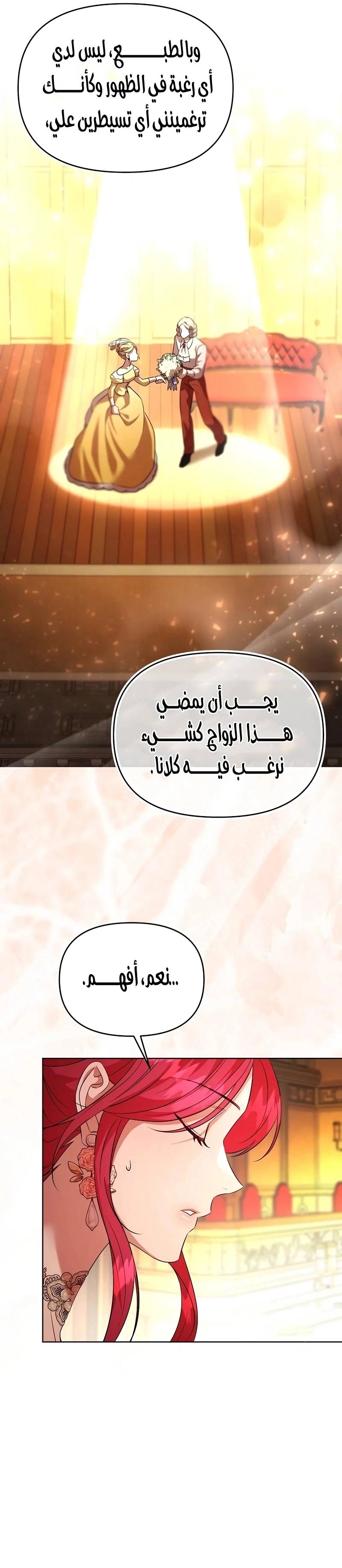 الصفحة 26