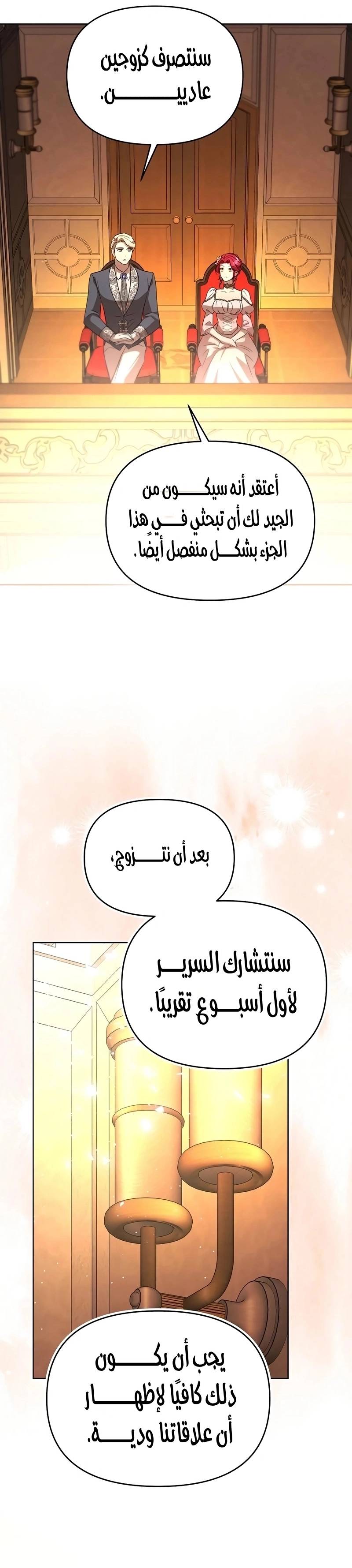 الصفحة 27
