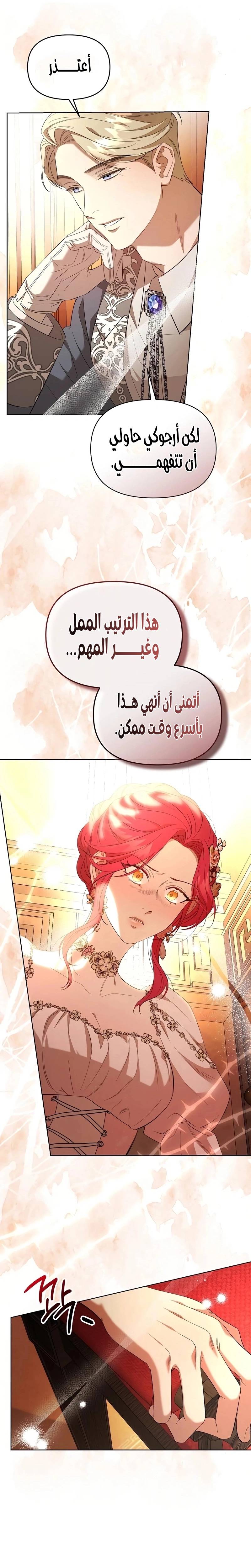 الصفحة 29