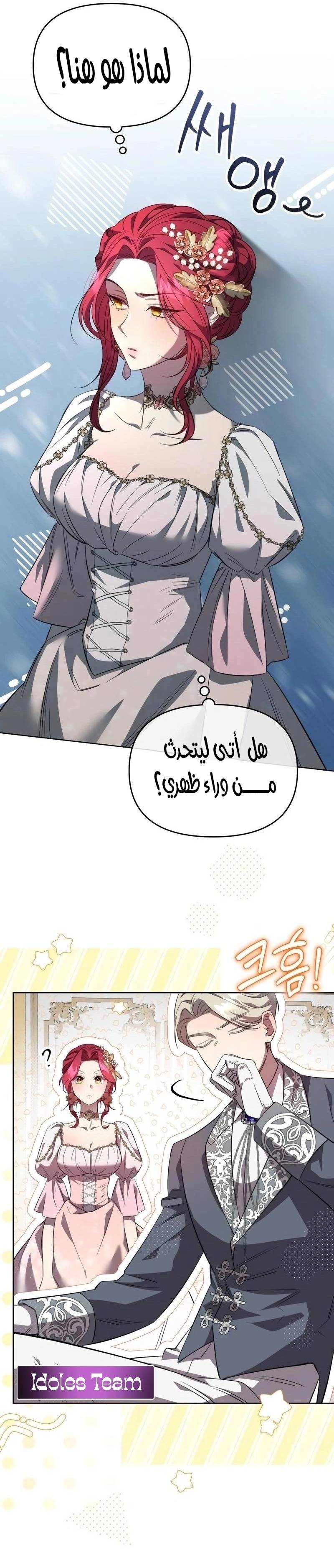 الصفحة 27