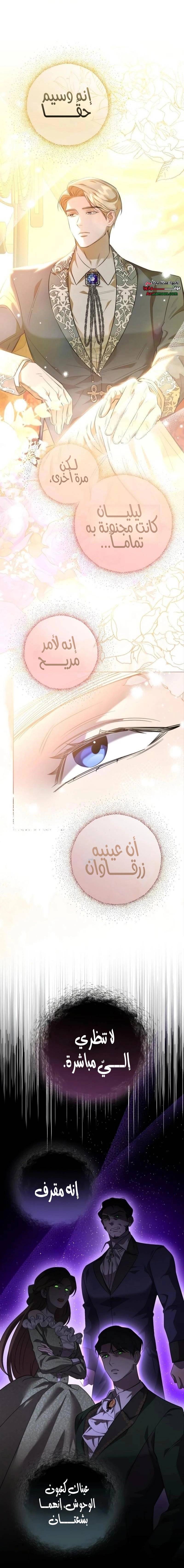 الصفحة 31