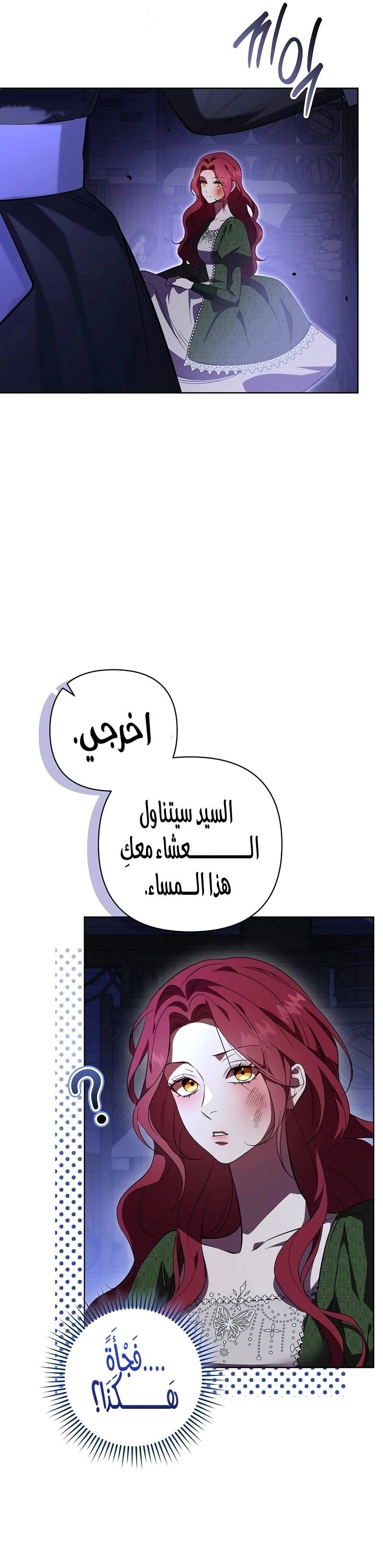 الصفحة 19