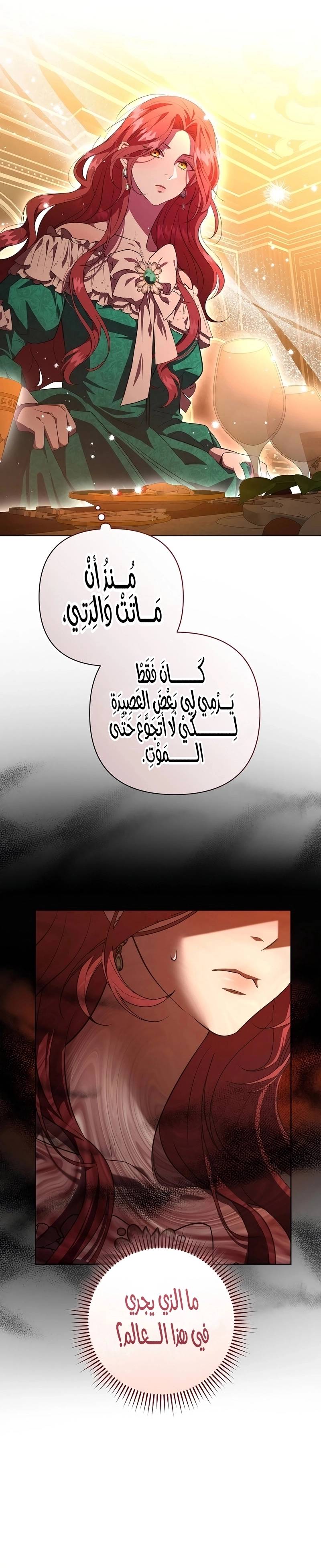 الصفحة 24