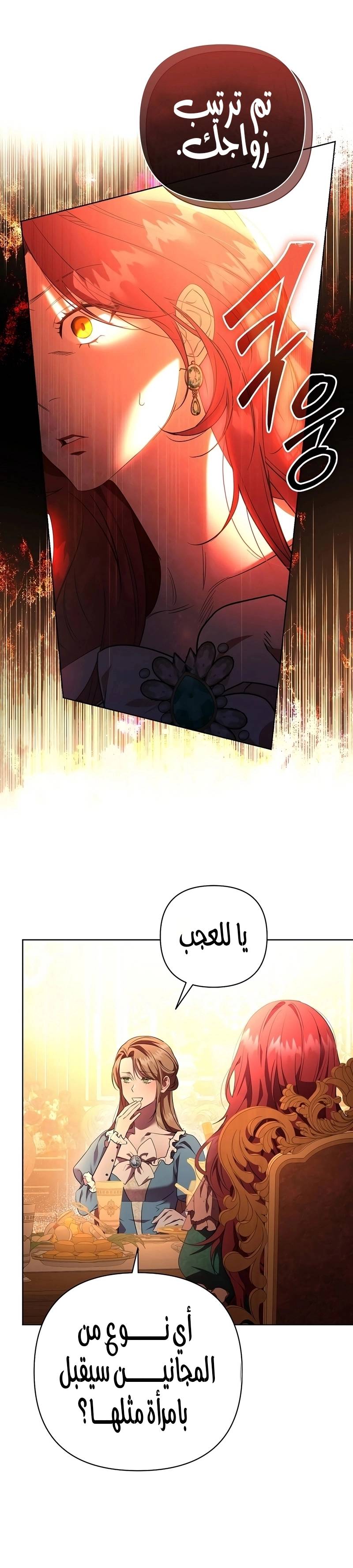 الصفحة 26