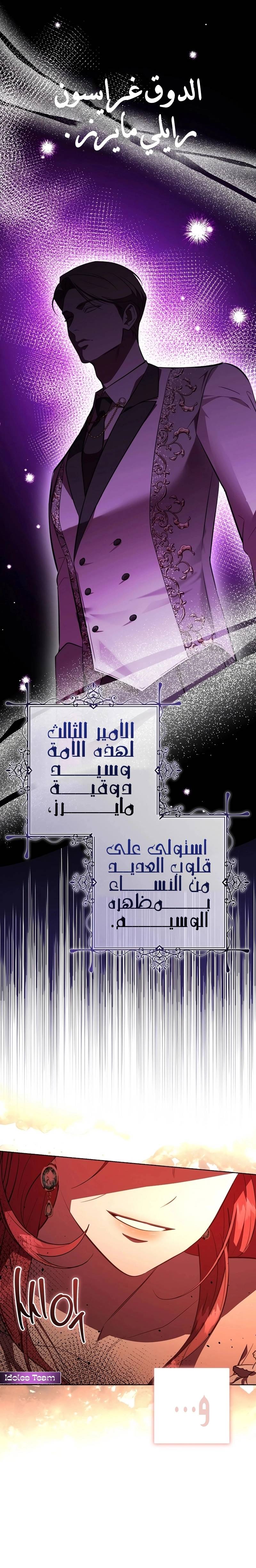 الصفحة 29