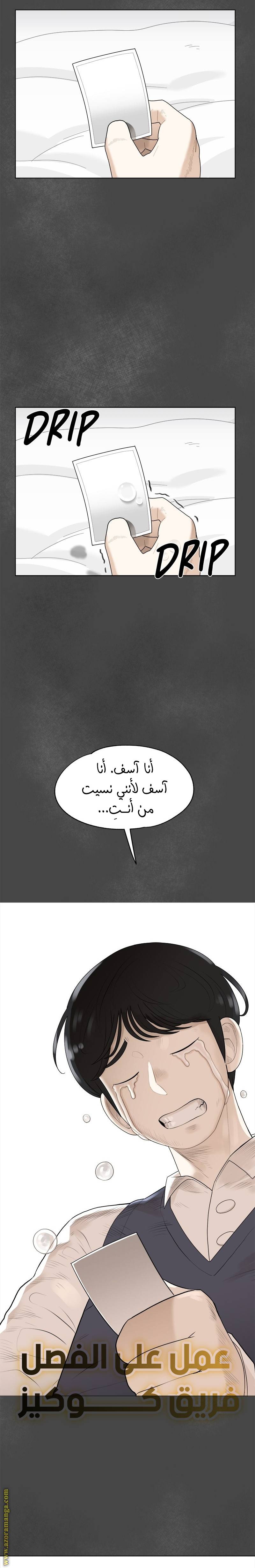 الصفحة 43