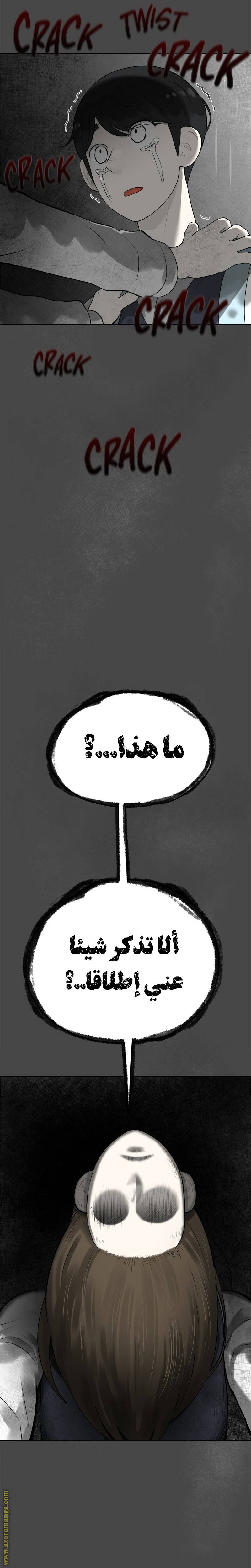 الصفحة 29