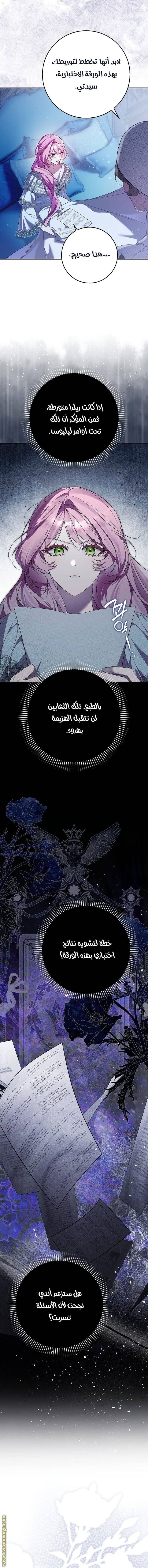 الصفحة 19