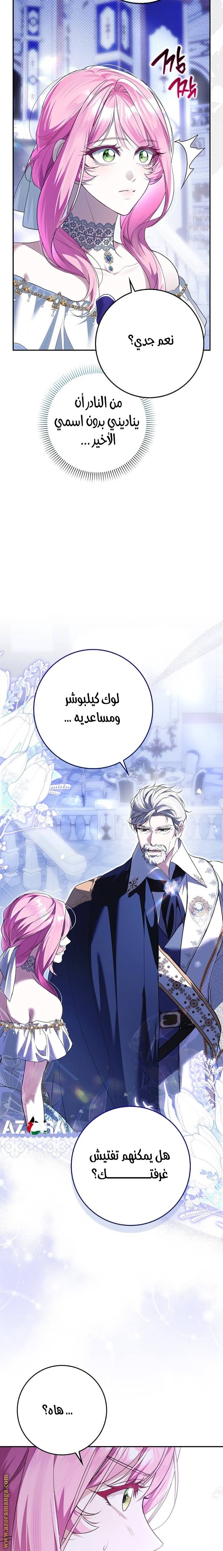 الصفحة 13