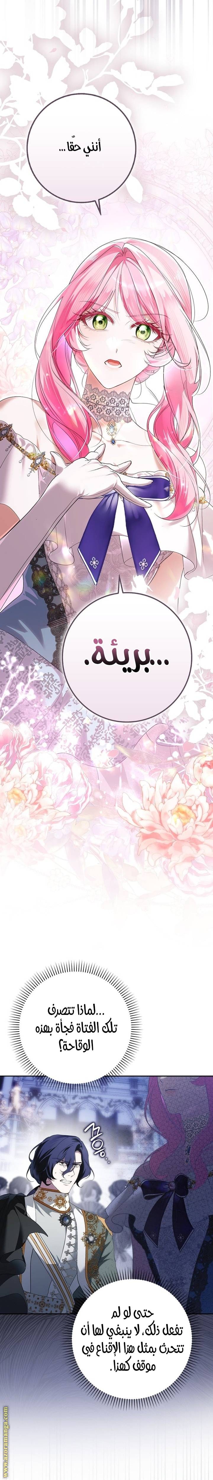 الصفحة 17
