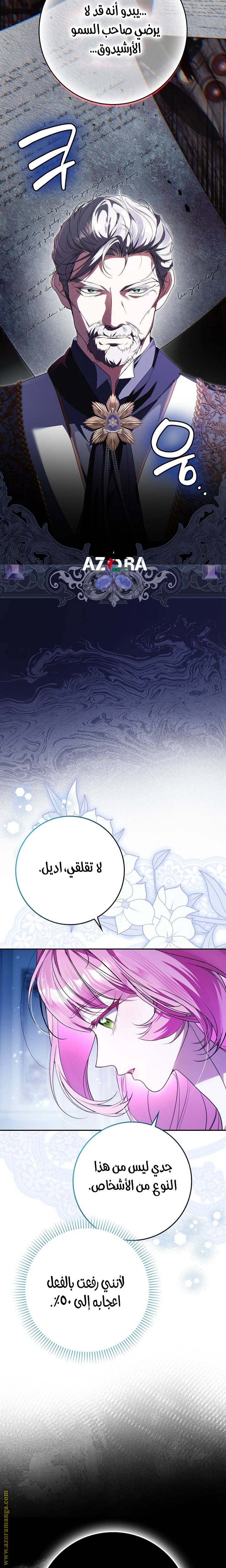 الصفحة 25