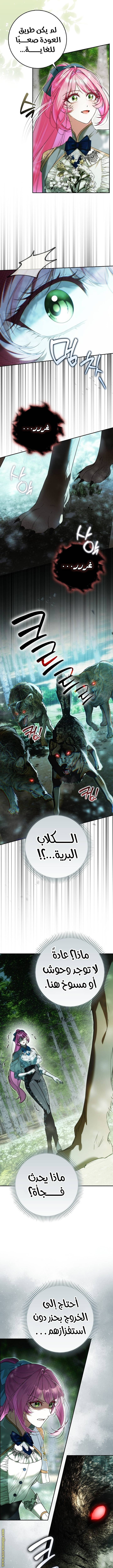 الصفحة 5
