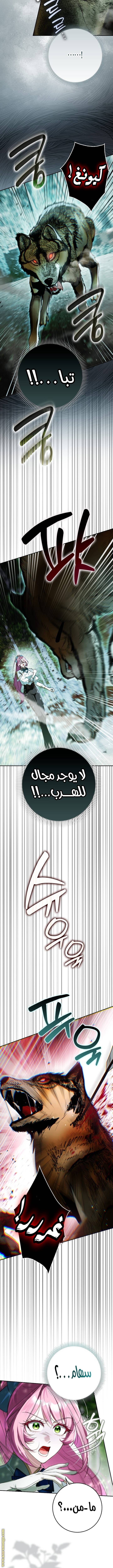 الصفحة 6